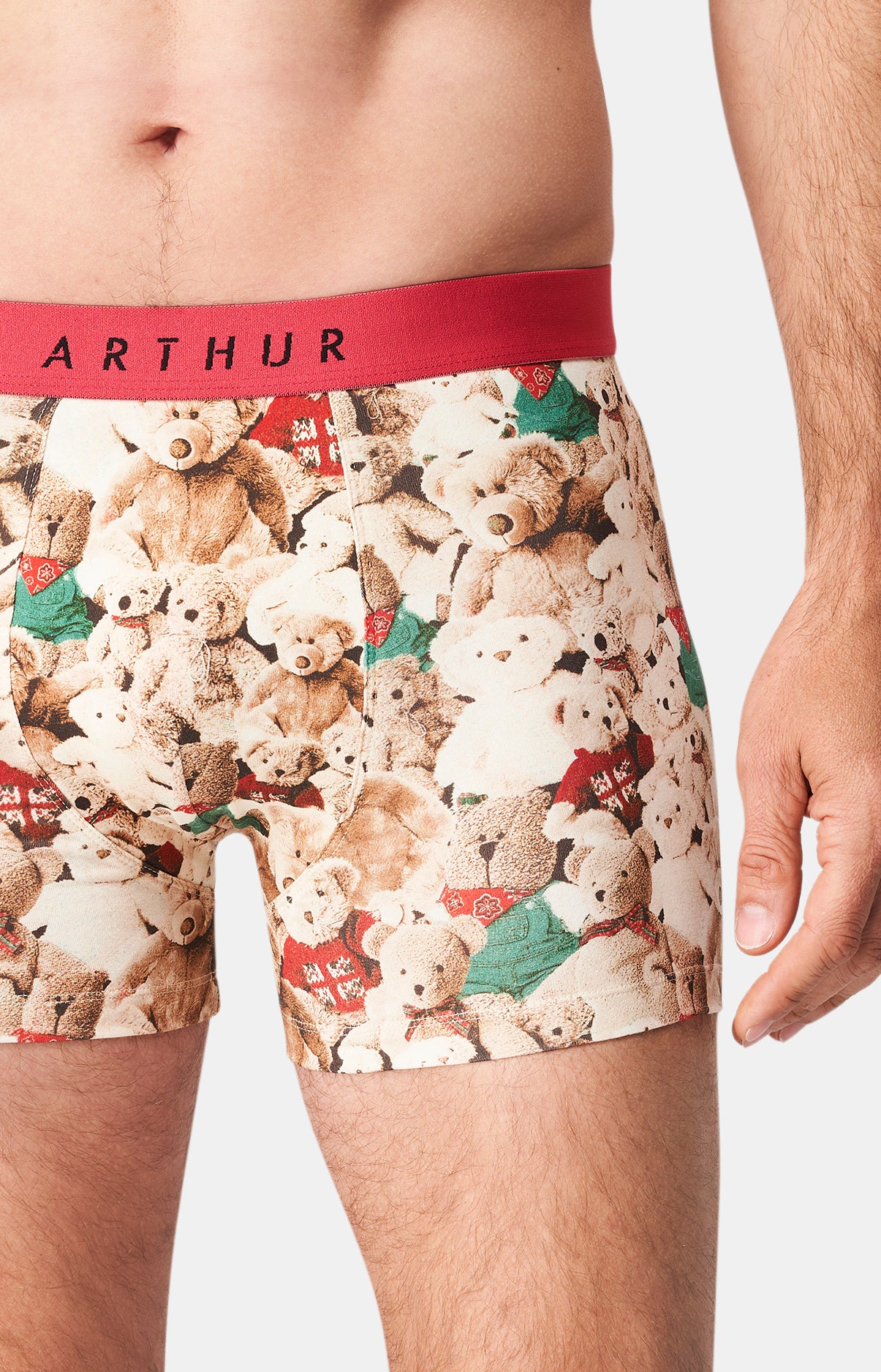 Boxer Homme Teddy Homme Beige et Marron 6