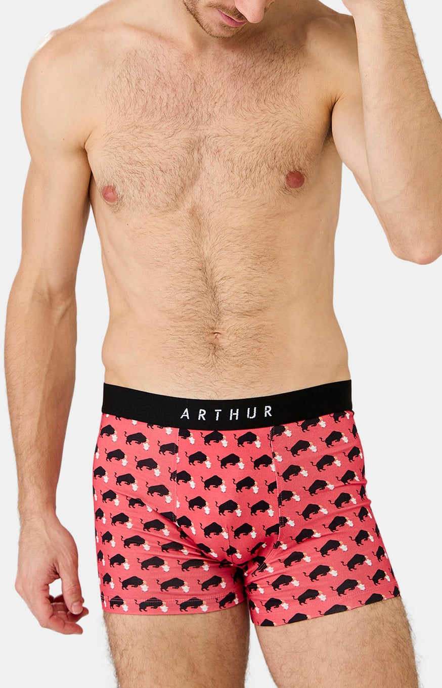 Boxer Homme Olé Rouge 1