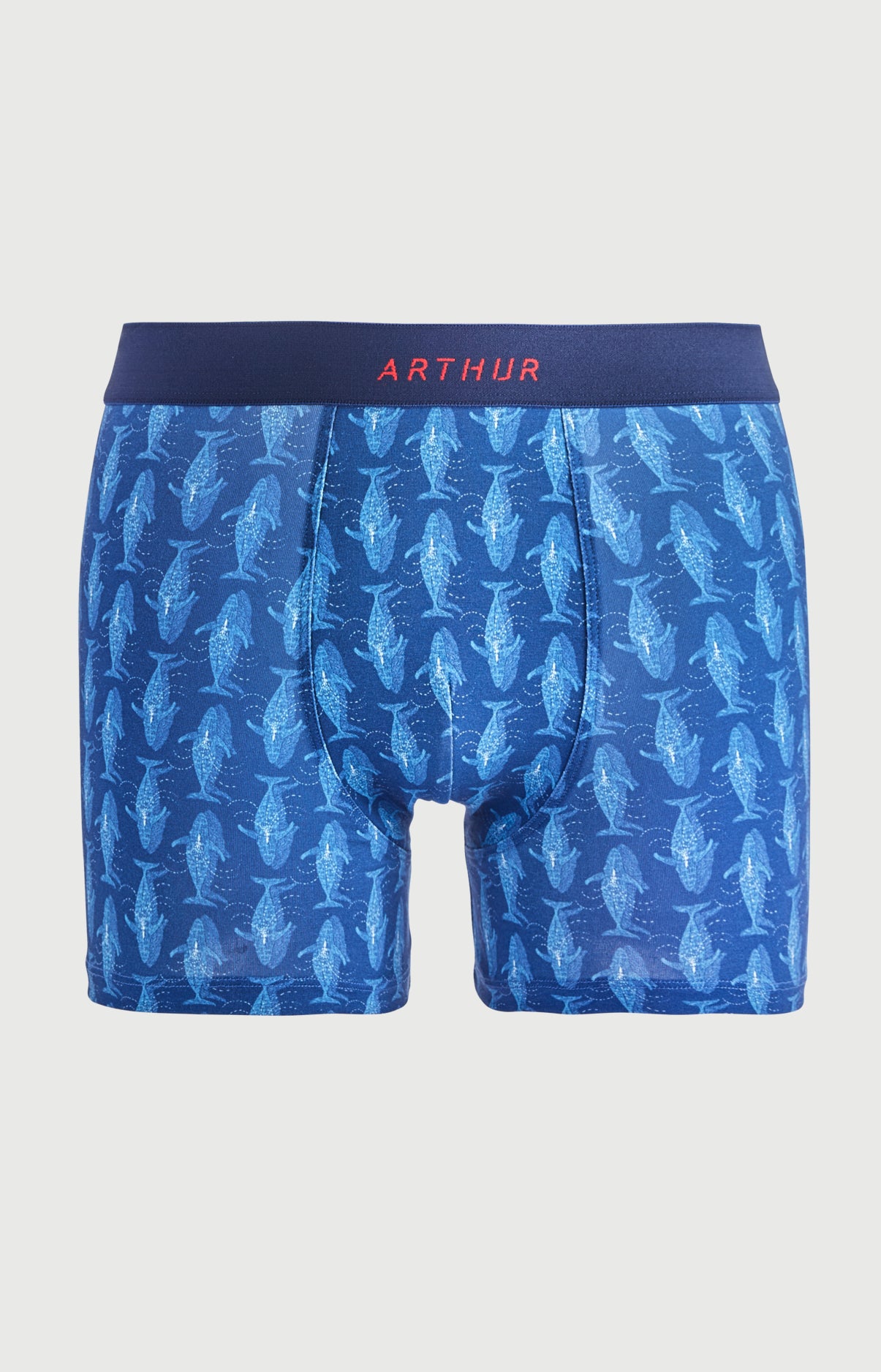 Boxer homme Pacifique Imprimé banc de baleines bleues 3