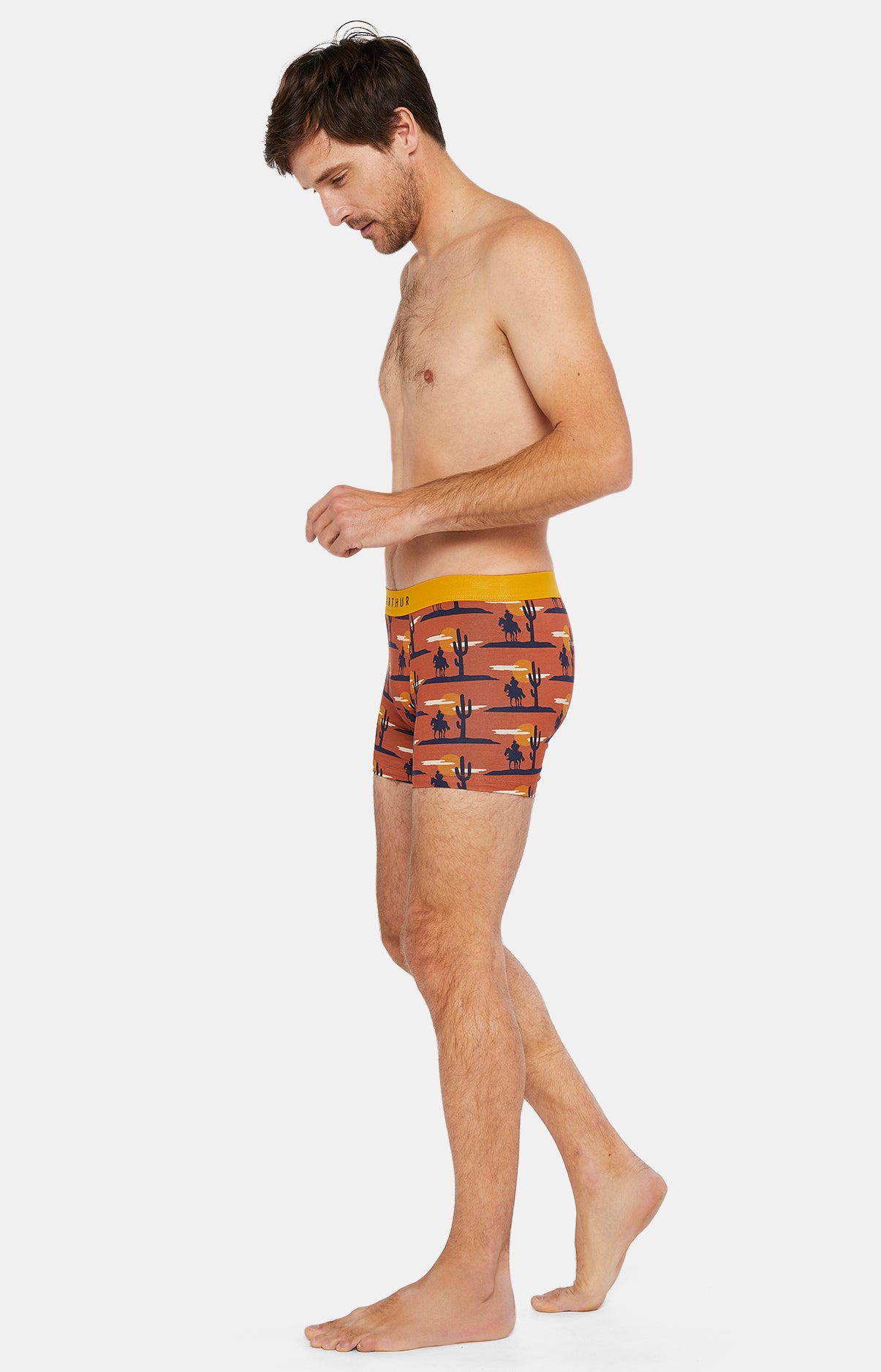 Boxer - A l&