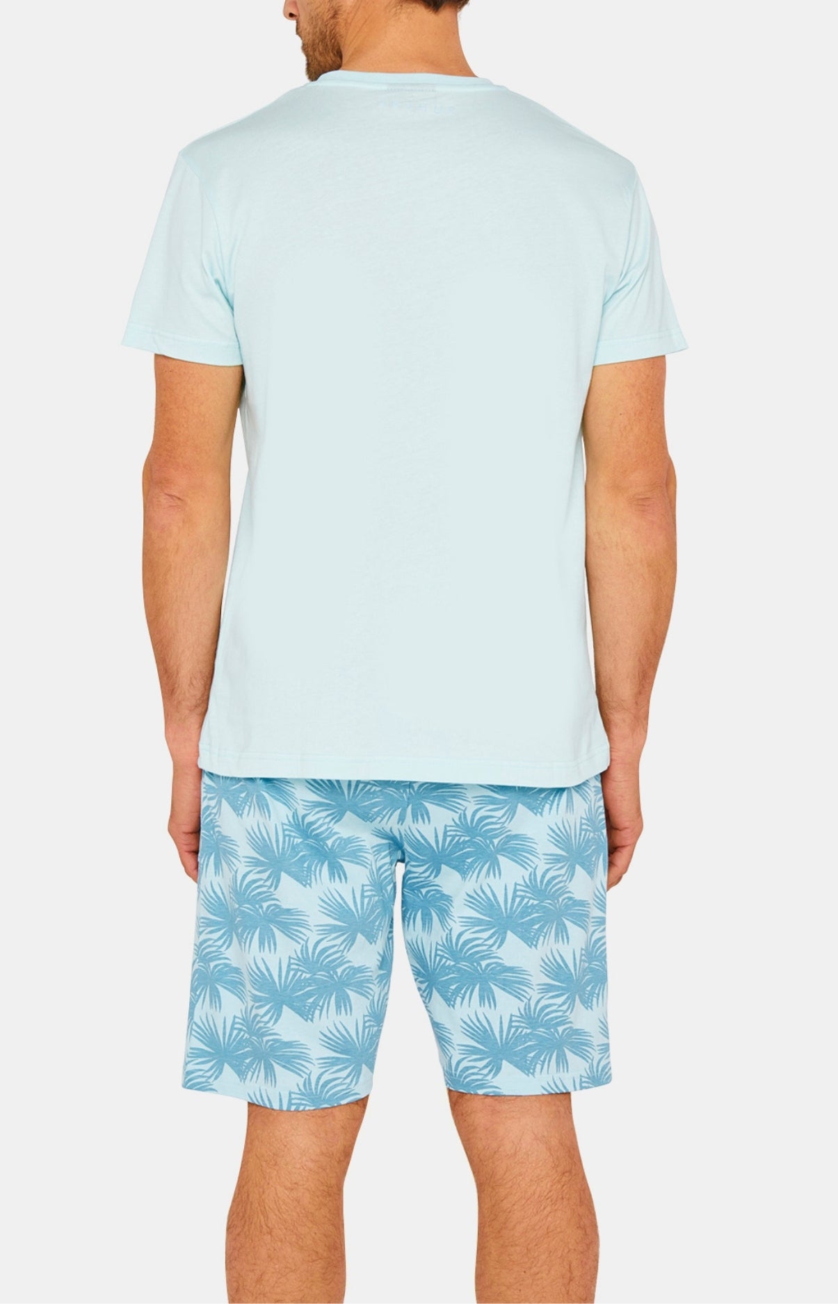 Tee-shirt Homme manches courtes Coton Bleu 15