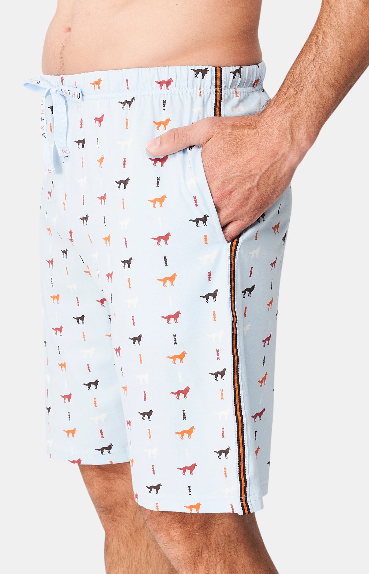 Pyjashort Homme Jeune loup Bleu 6