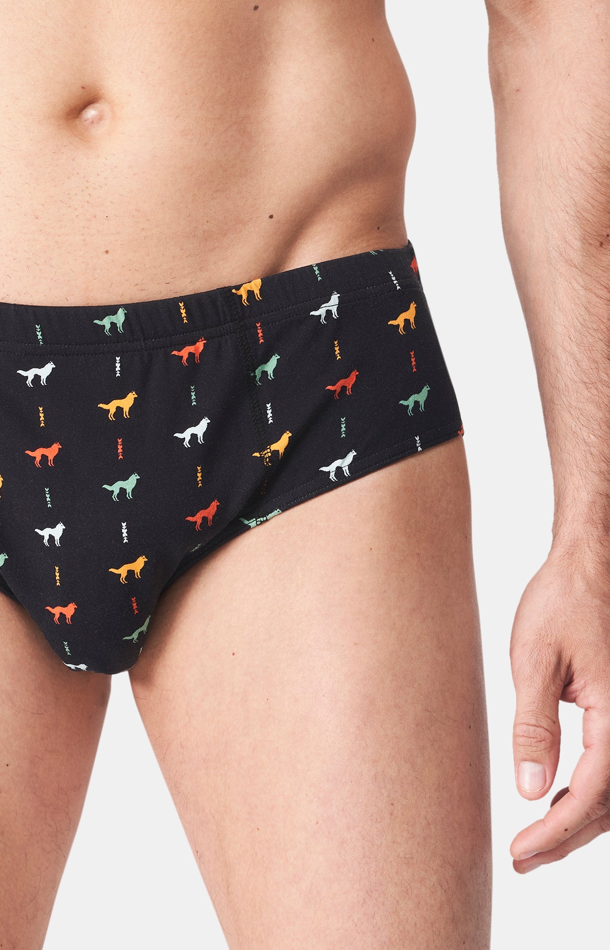 Slip Homme Jeune loup Noir 2