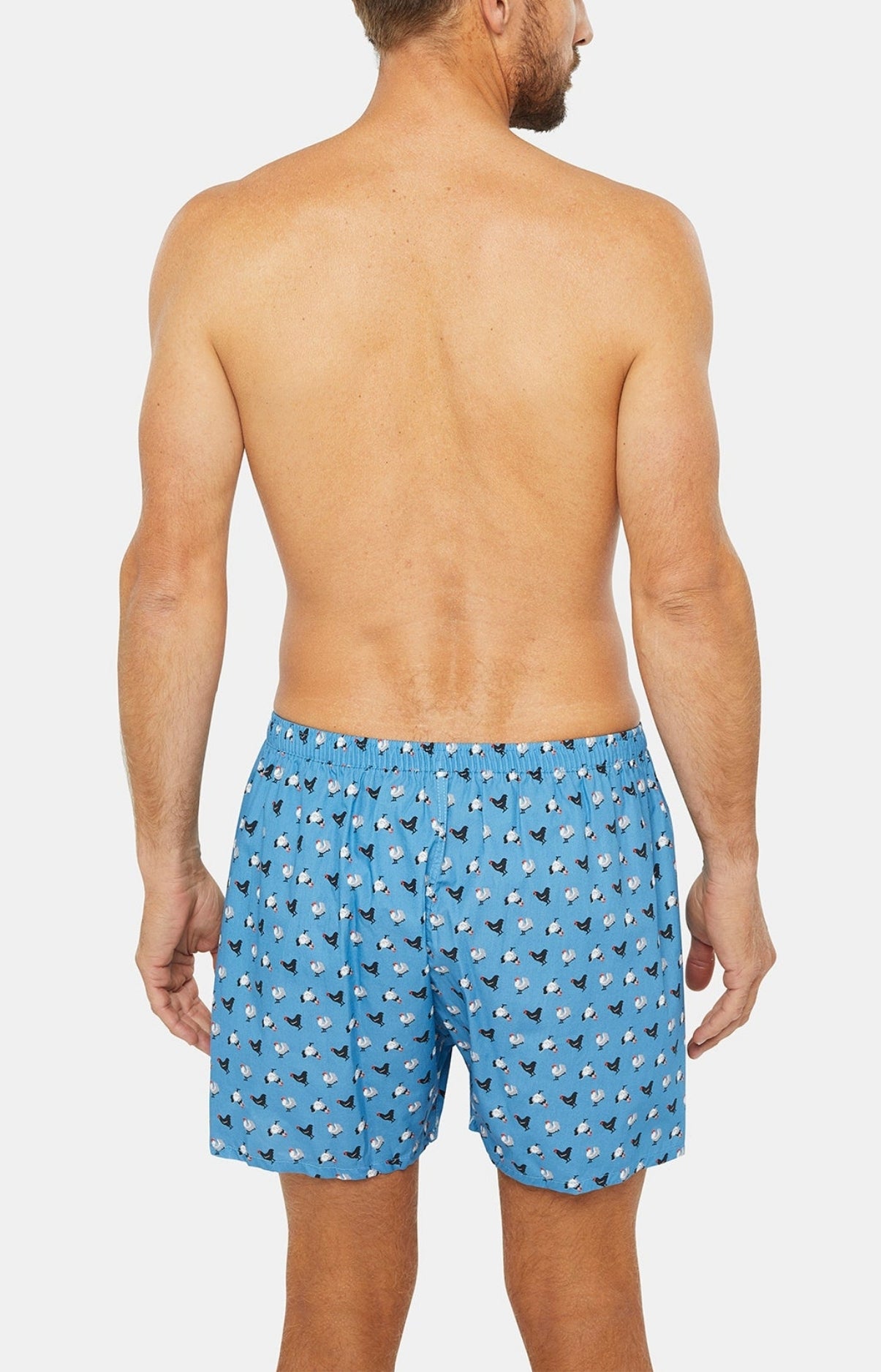 Caleçon classique Homme Poule Bleu 5