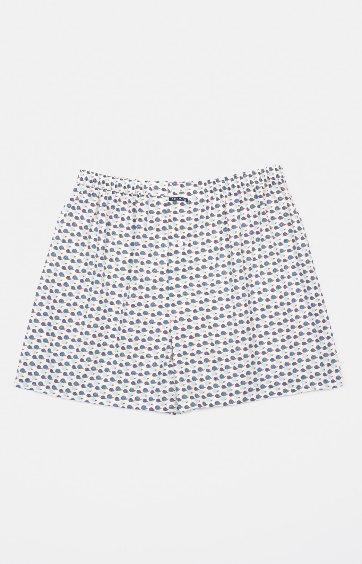 Caleçon Homme Hérisson Multicolore 1