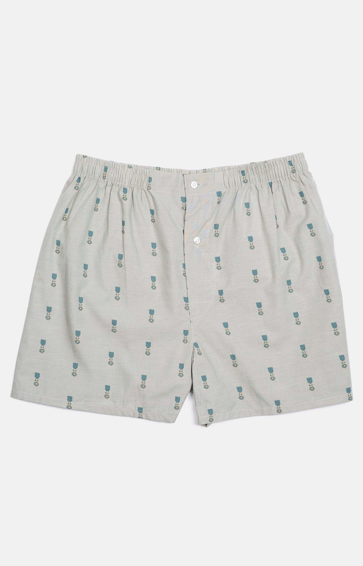 Caleçon classique Homme Médaille dort Vert 3