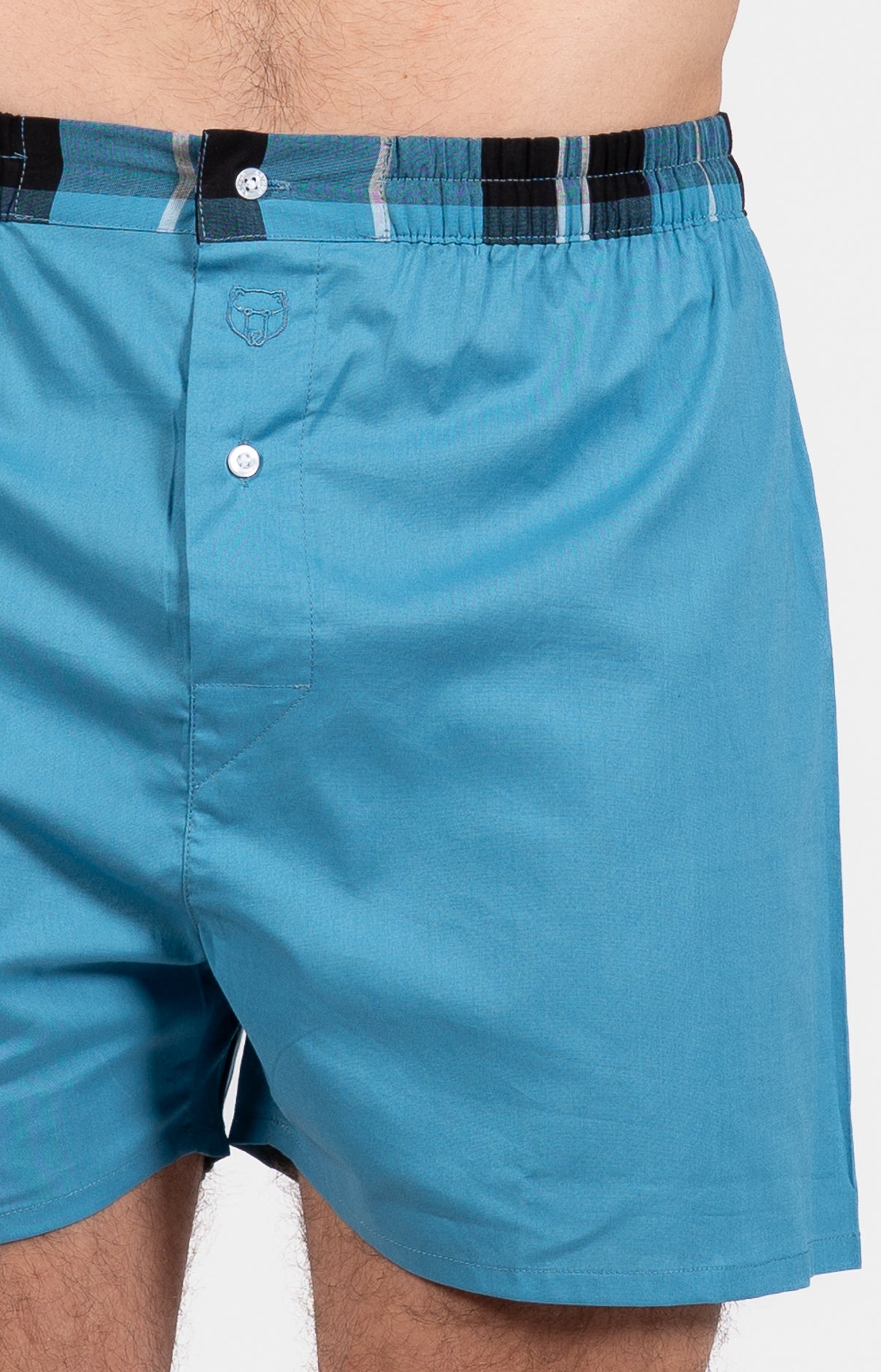 Caleçon classique Homme Bleu 2