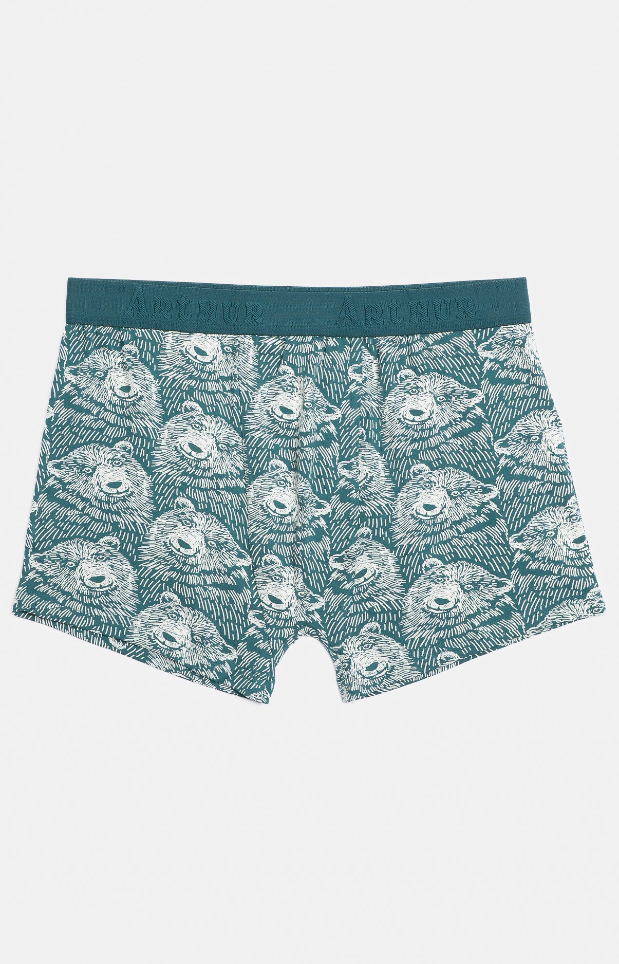 Boxer Homme Ours Gris et Vert 3
