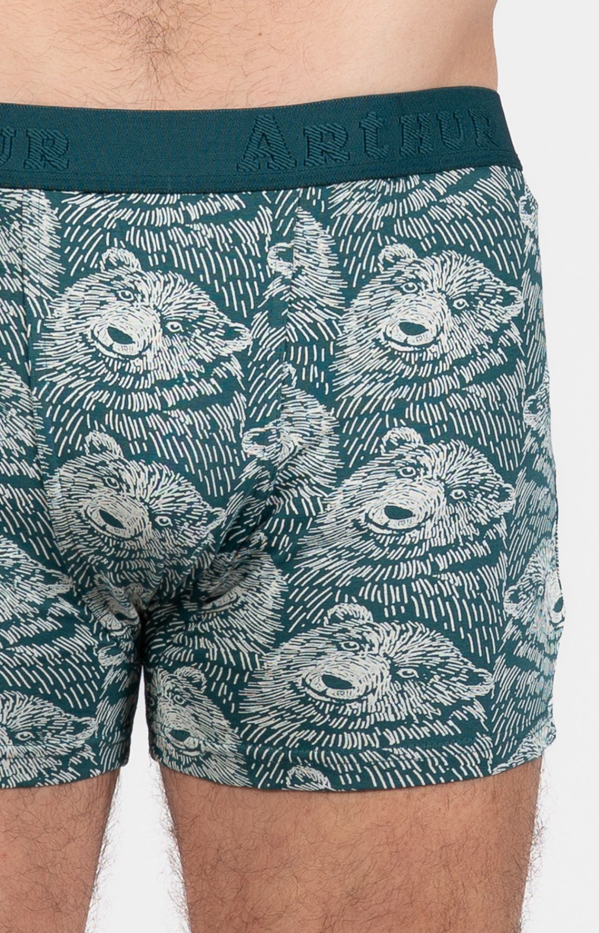 Boxer Homme Ours Gris et Vert 2