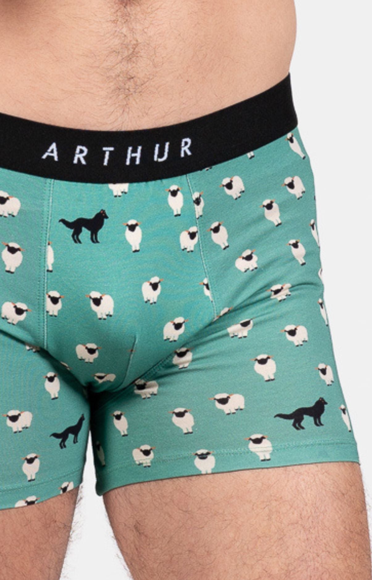 Boxer Homme Mouton Vert 2