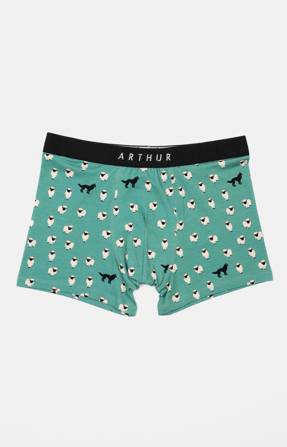 Boxer Homme Mouton Vert 3