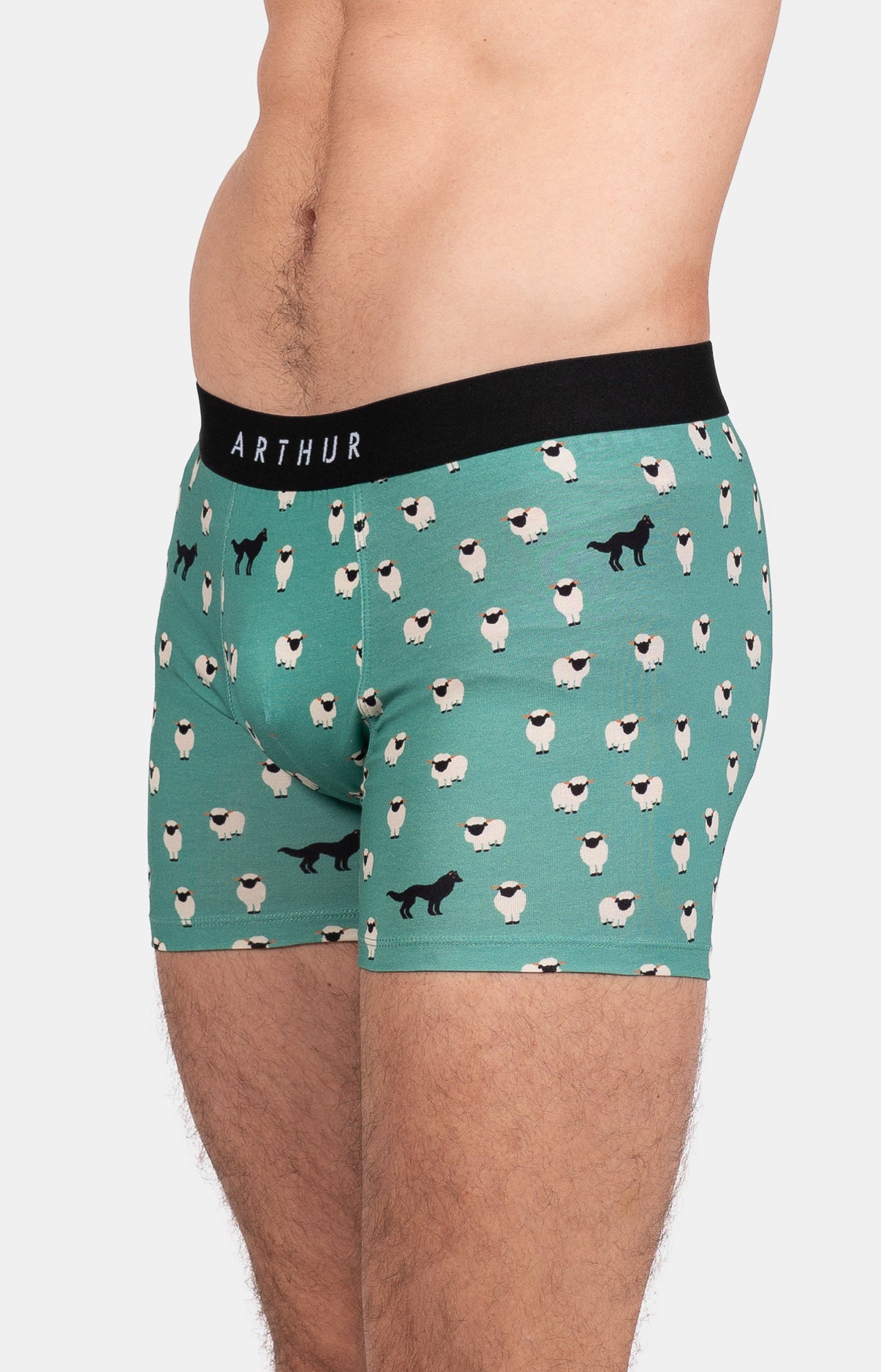 Boxer Homme Mouton Vert 5