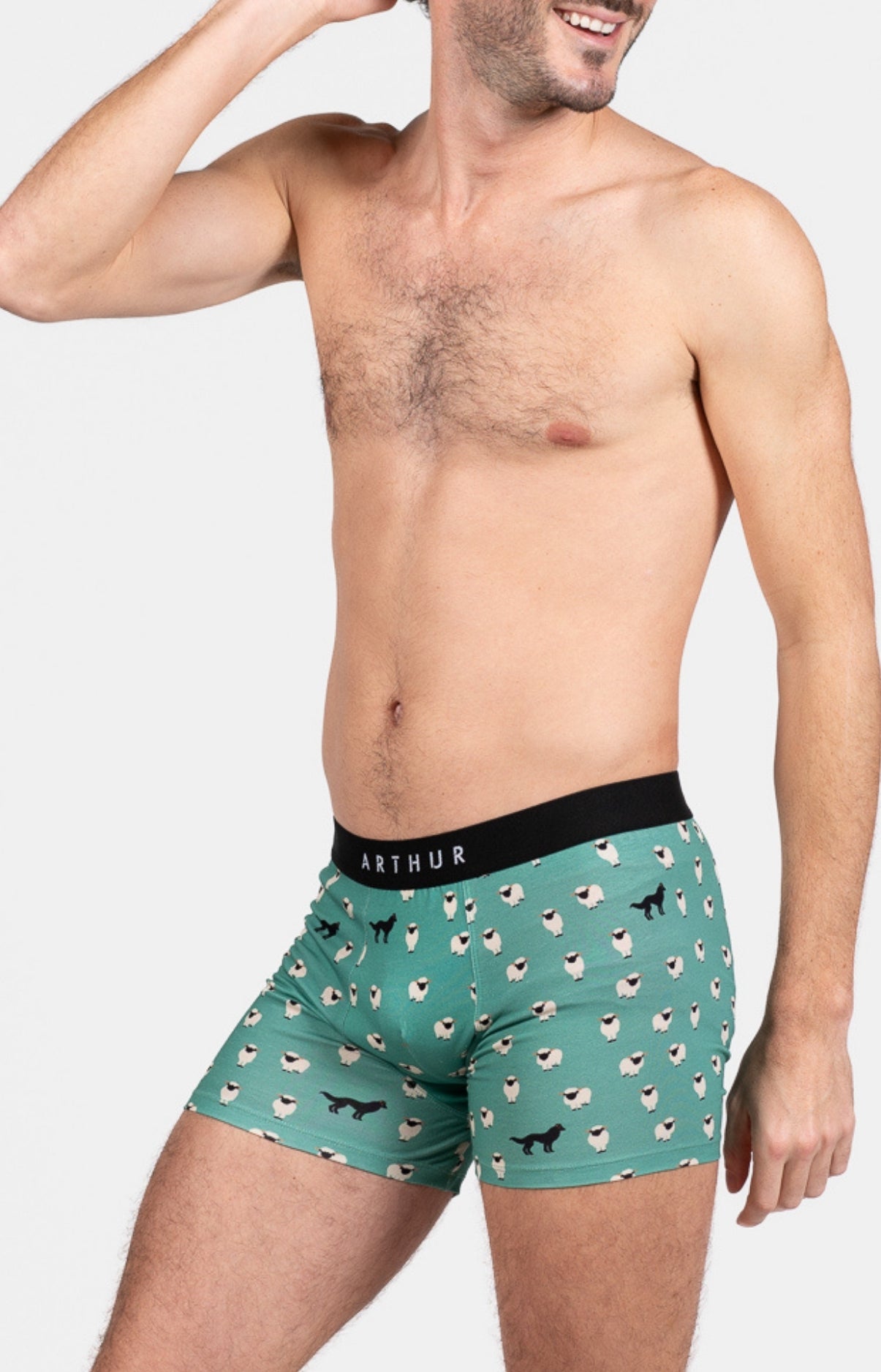 Boxer Homme Mouton Vert 4