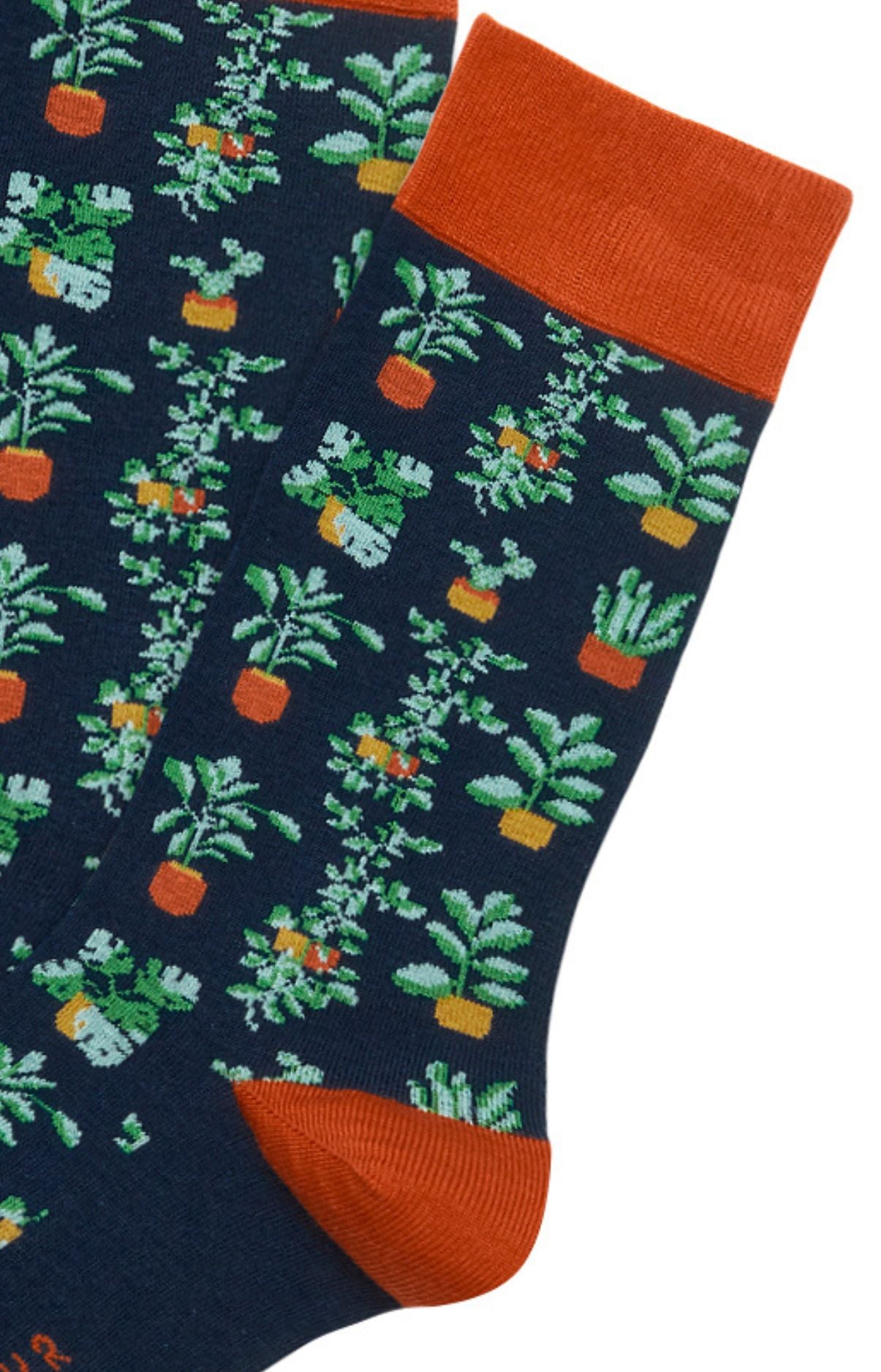 Chaussettes Homme Botanic Marine 2