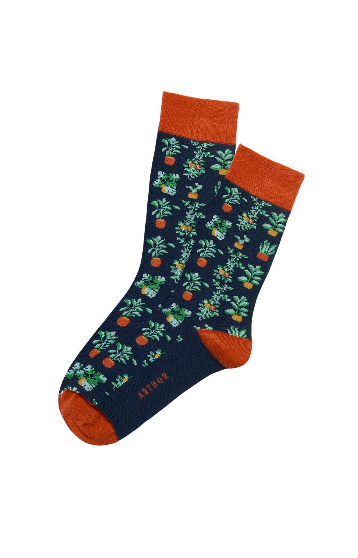 Chaussettes Homme Botanic Marine 1