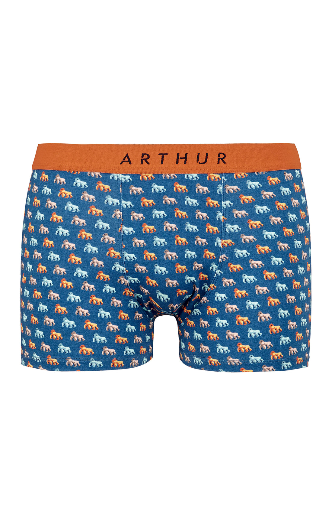 Boxer Homme Gorille Bleu 3