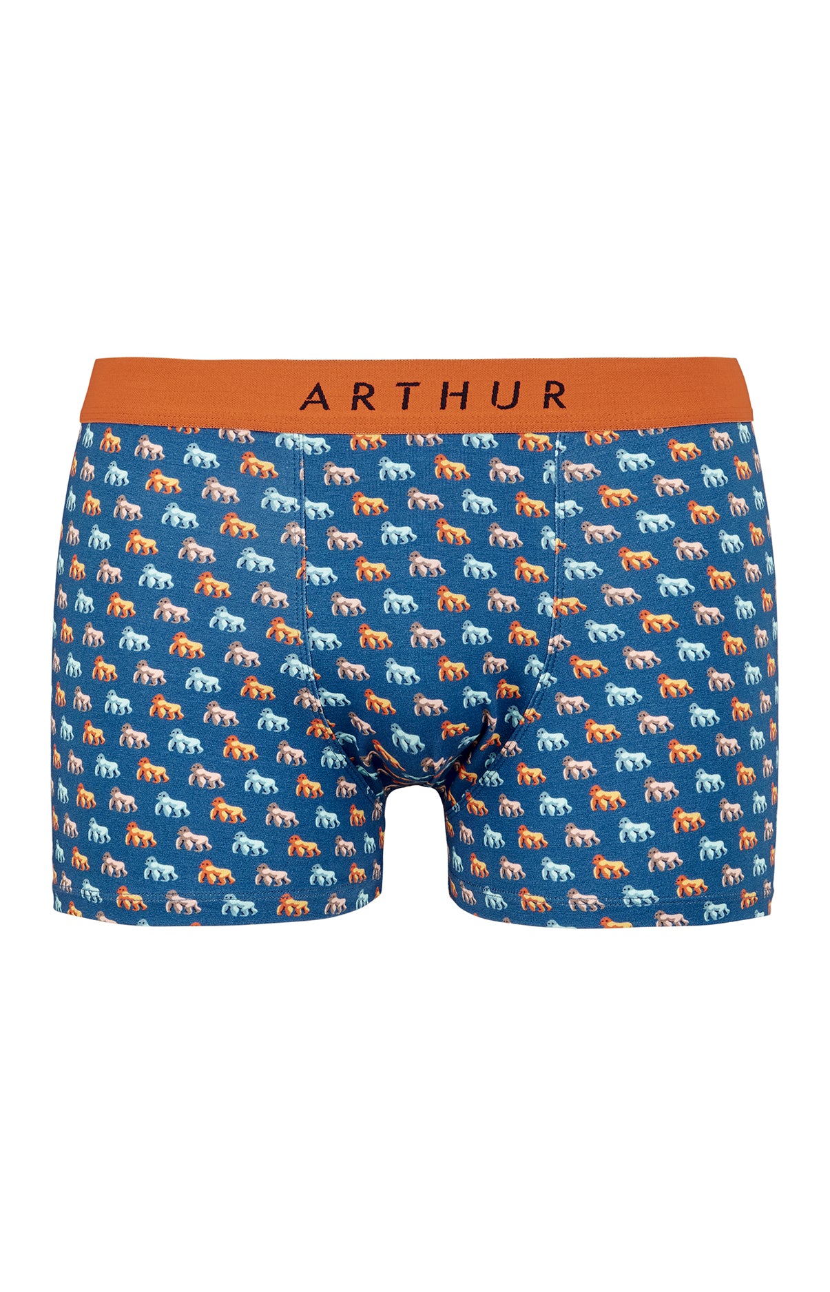 Boxer Homme Gorille Bleu 3