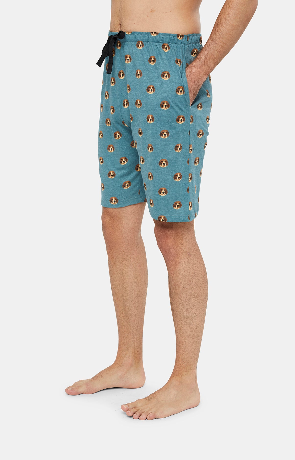 Pyjashort - Beagle