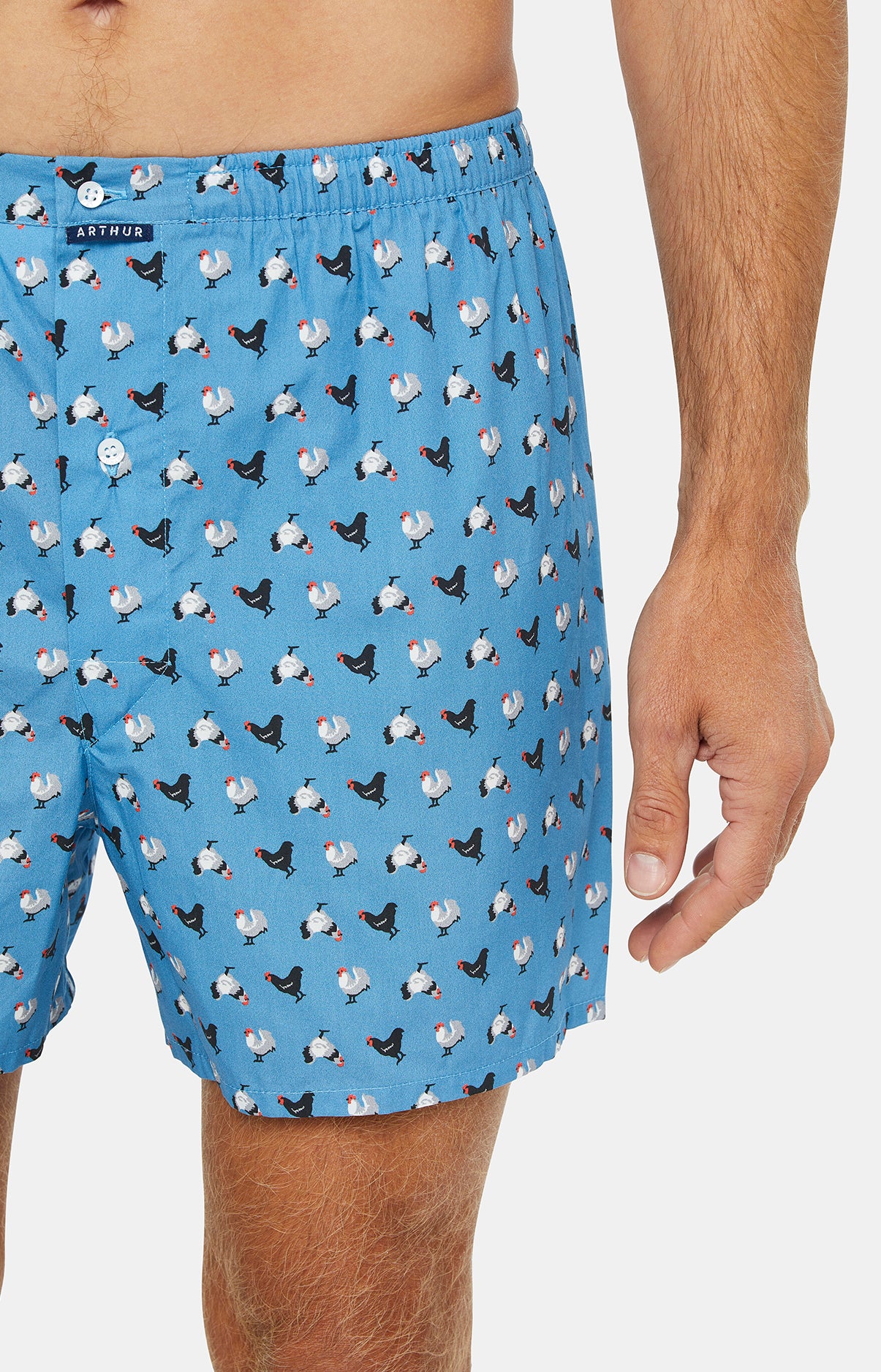 Caleçon classique Homme Poule Bleu 2