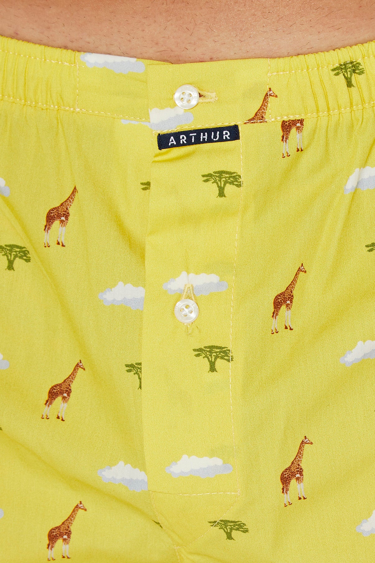 Caleçon classique Homme Girafe Jaune 4