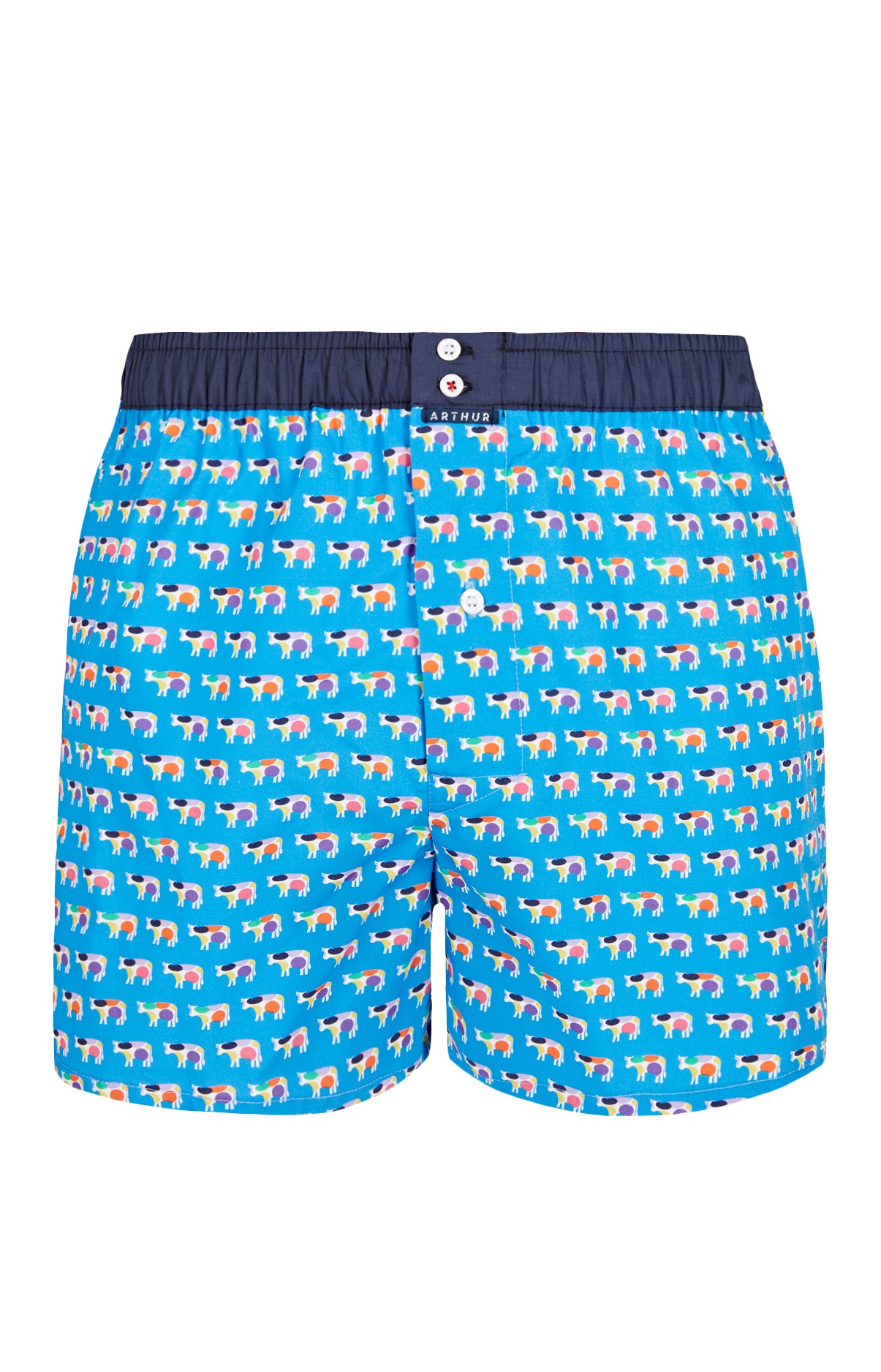 Caleçon avec suspensoir Homme Le Club n°973 Bleu 3