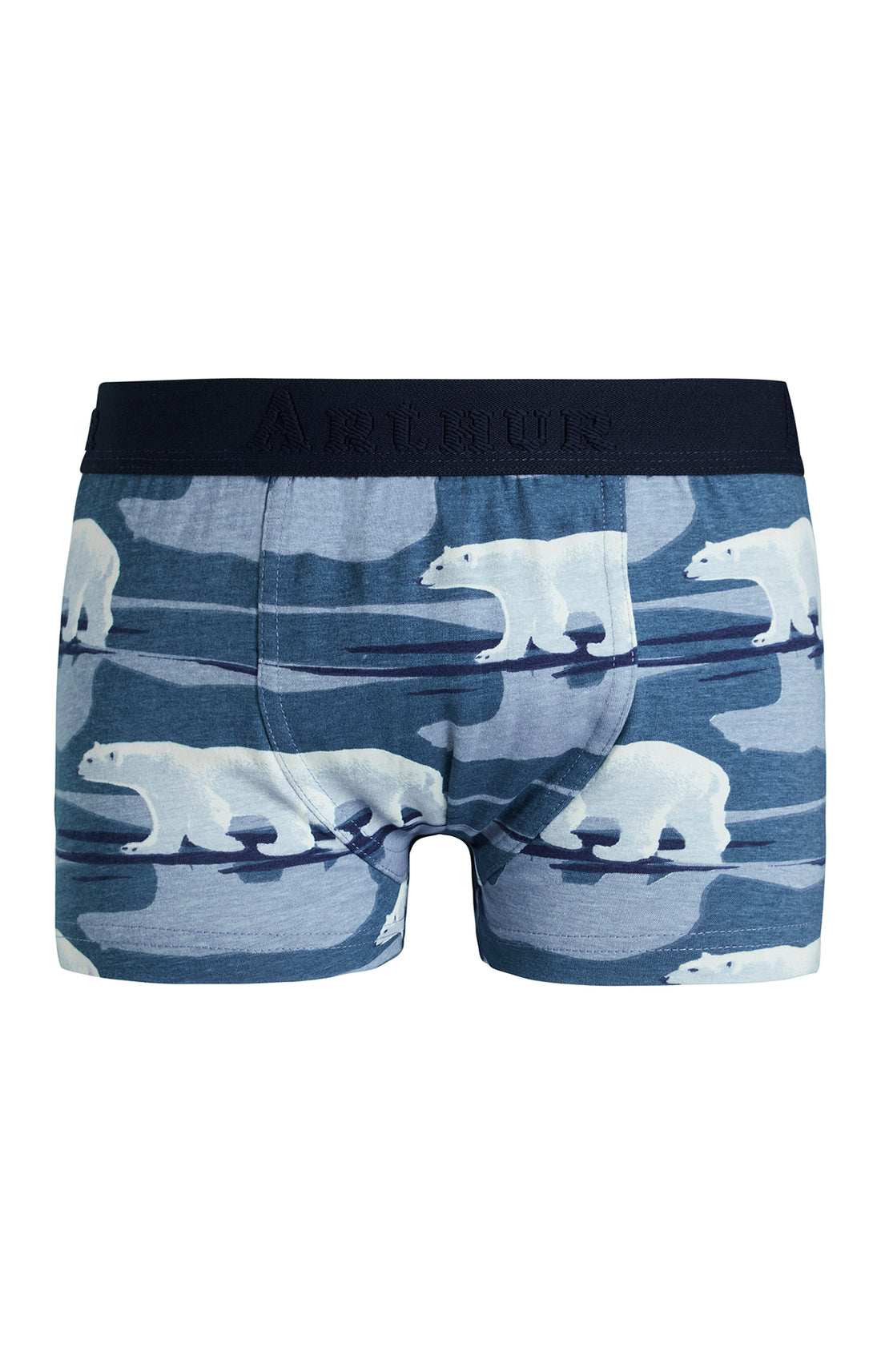 Boxer Enfant Ours Bleu 3