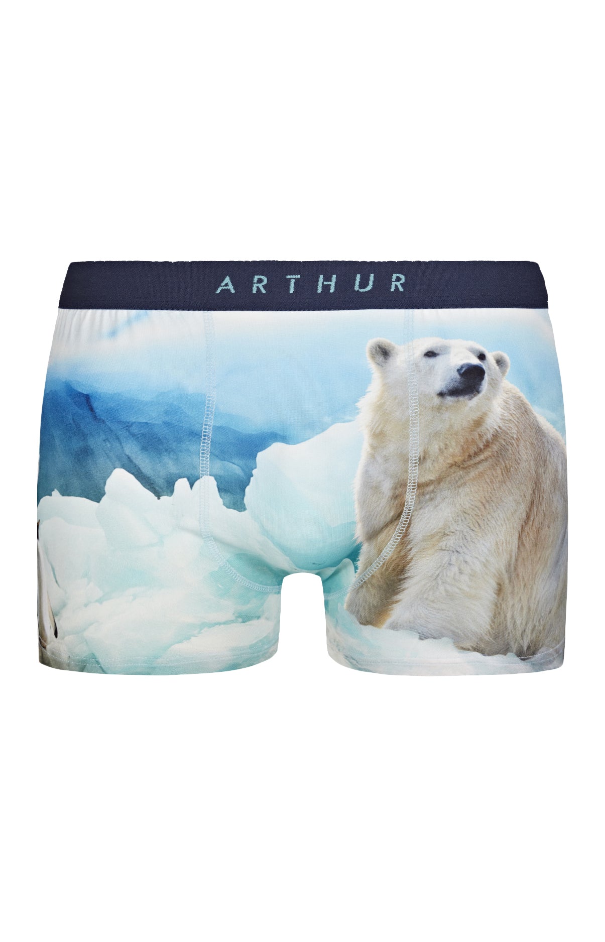 Boxer Banquise 3