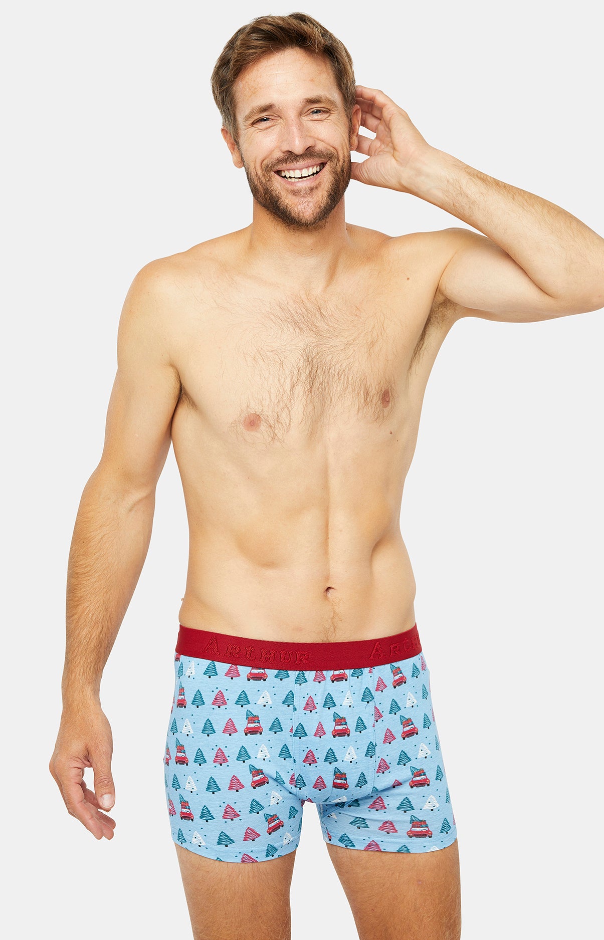 Boxer - Sapin