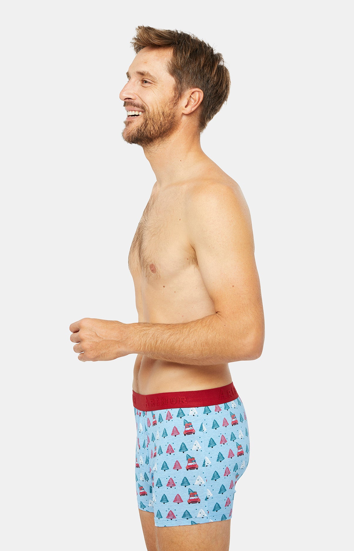 Boxer - Sapin