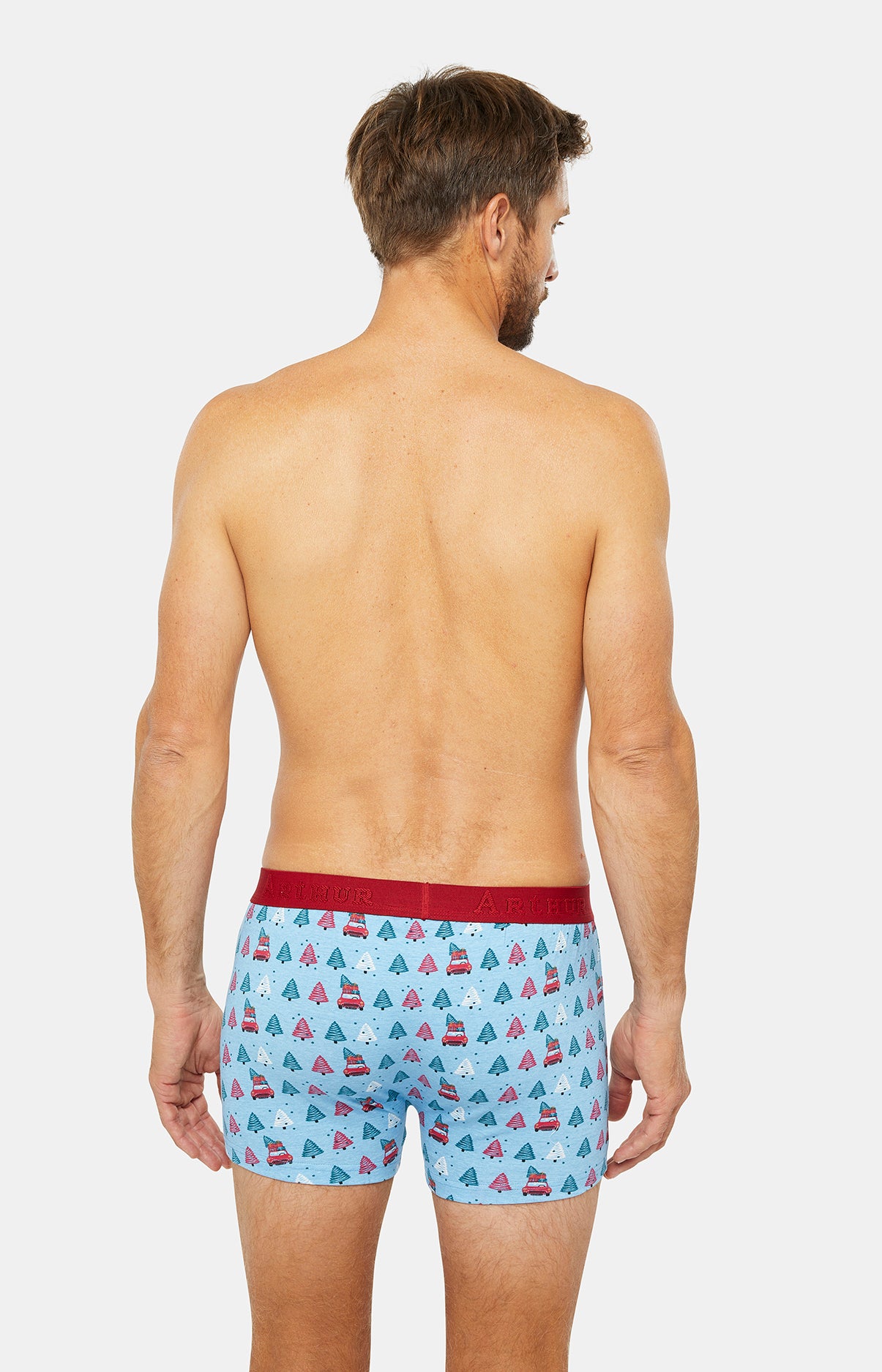 Boxer - Sapin