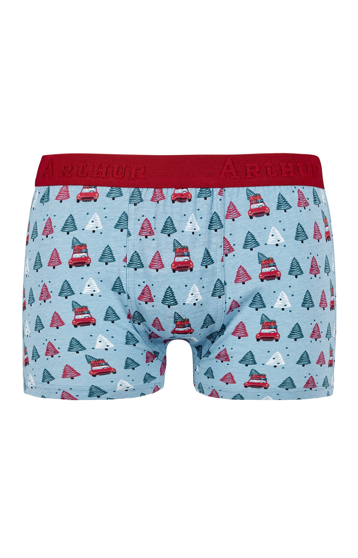 Boxer - Sapin