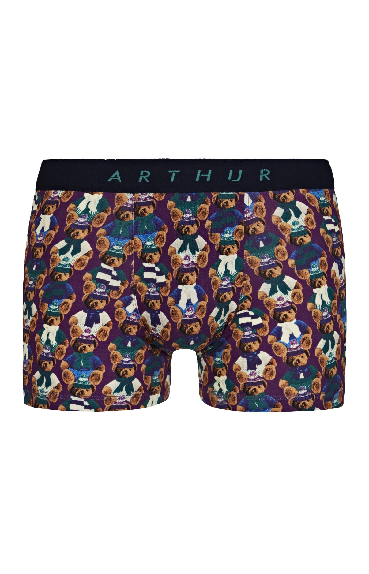 Boxer Teddy 3