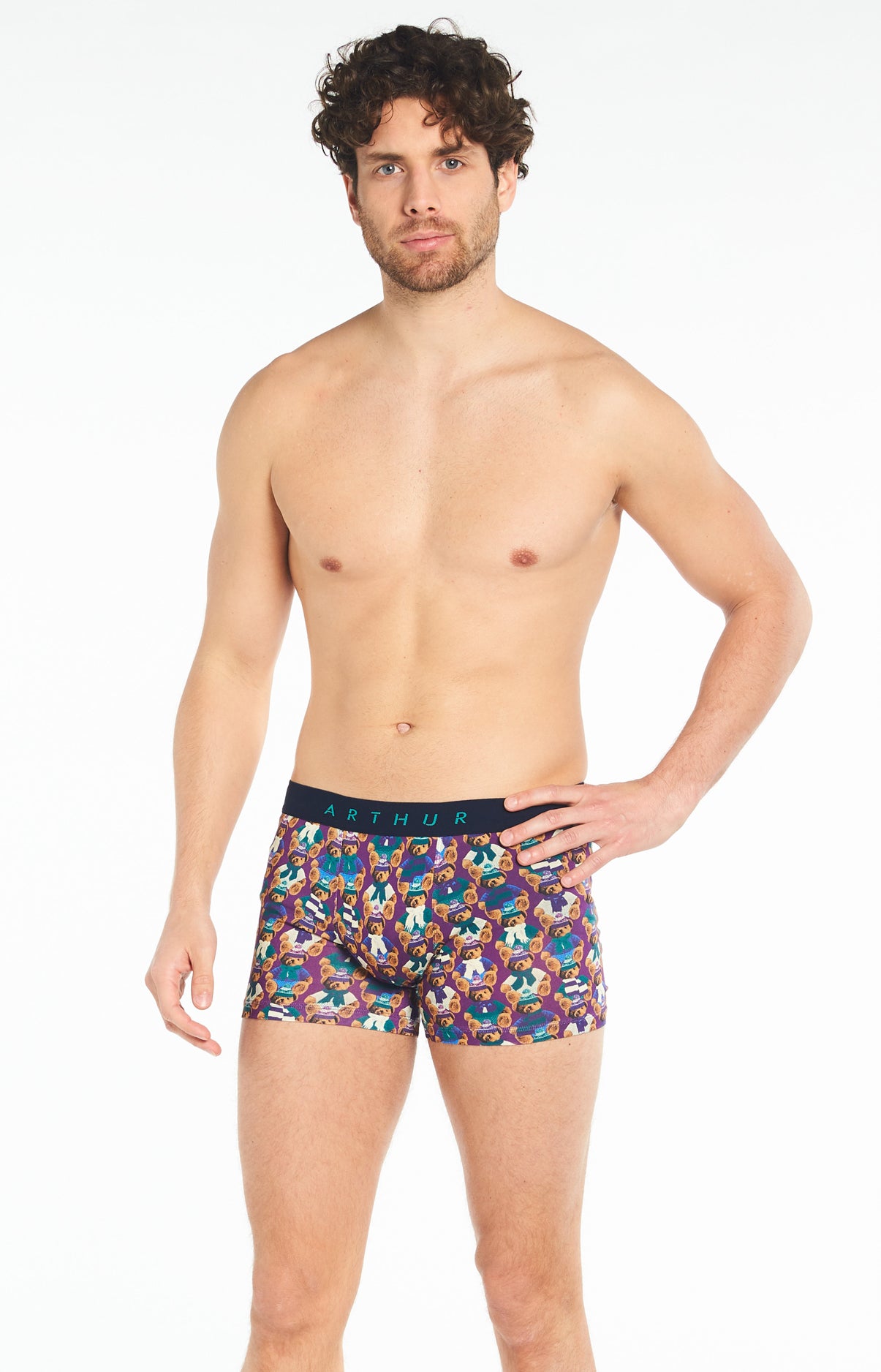 Boxer Teddy 4