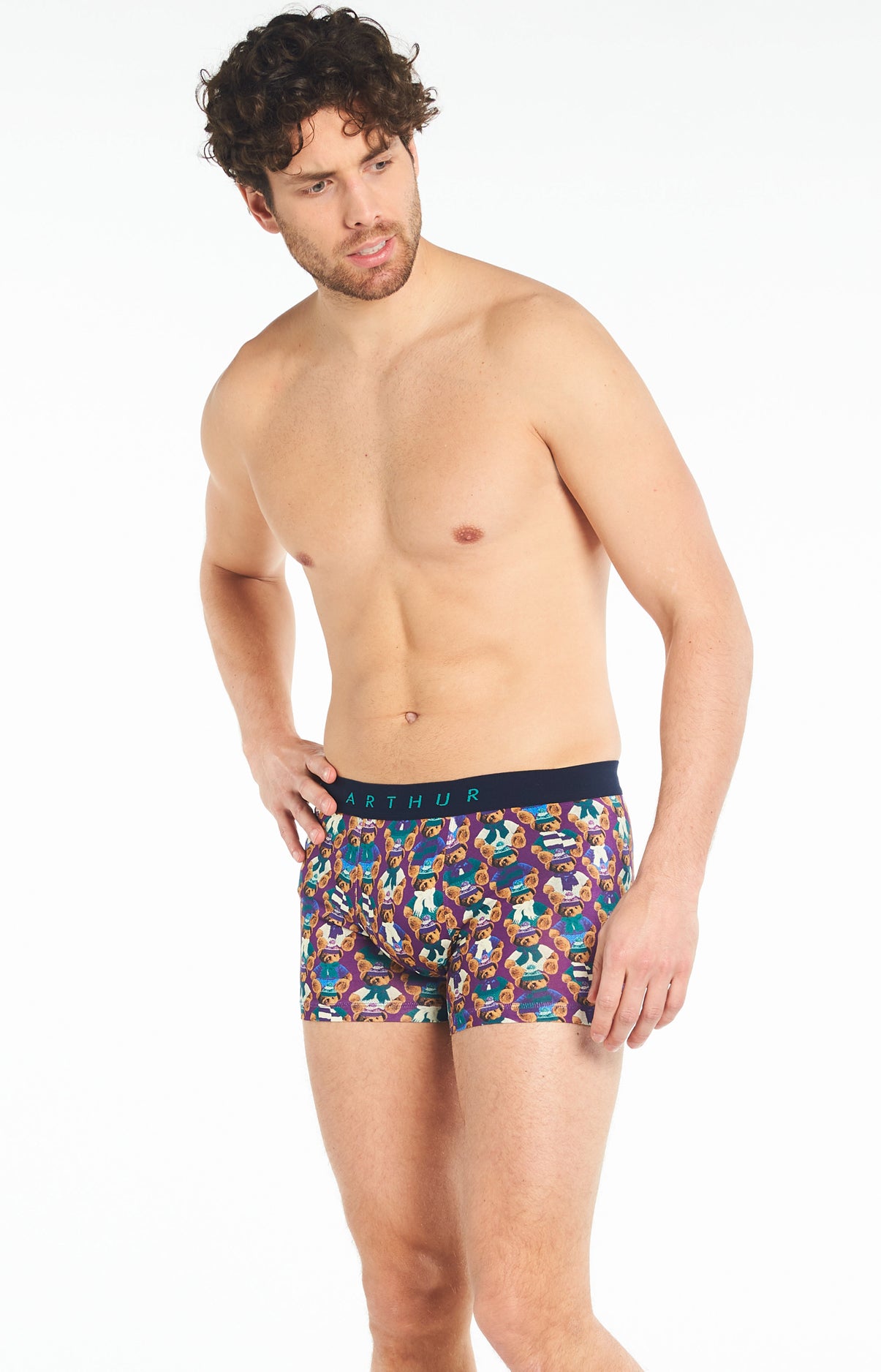 Boxer Teddy 5