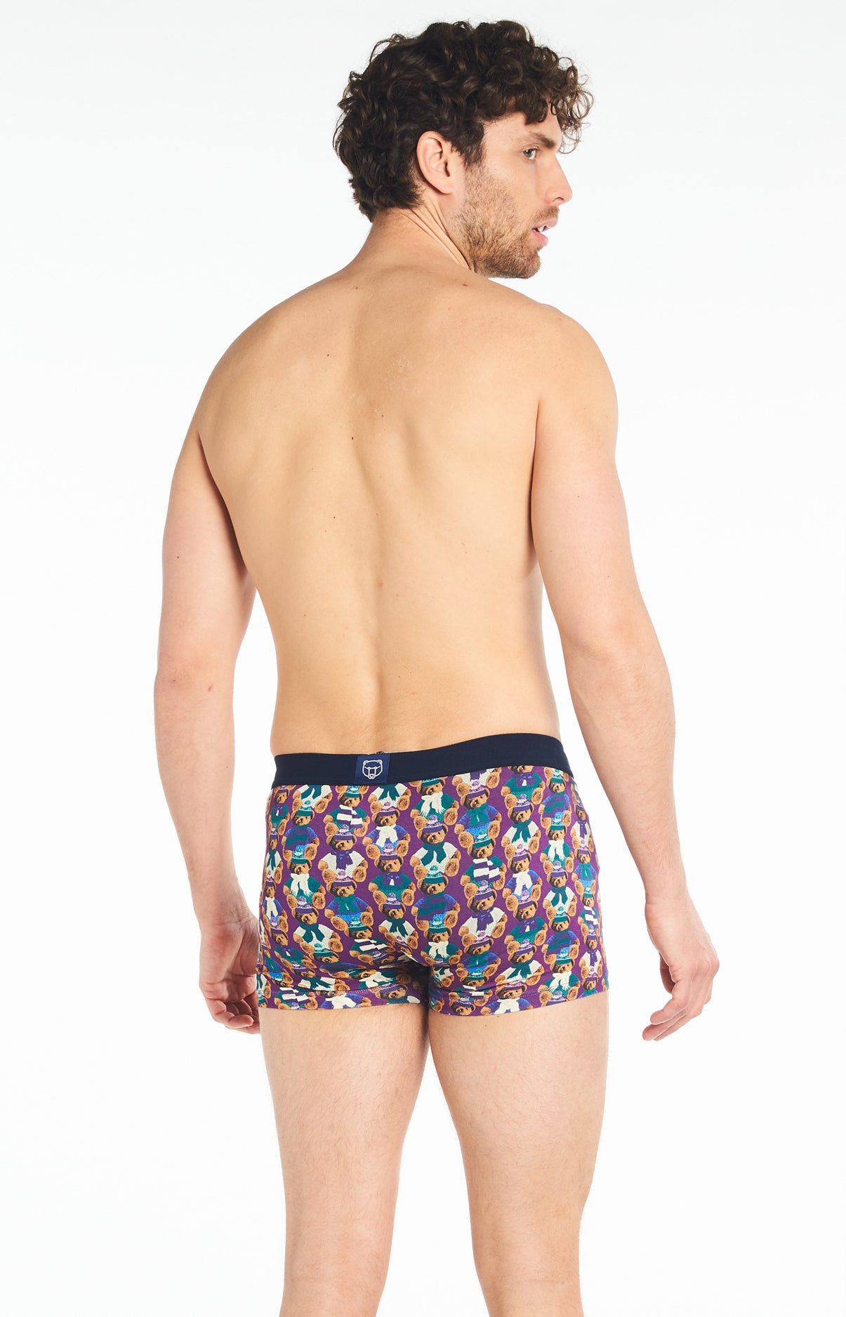 Boxer Teddy 6