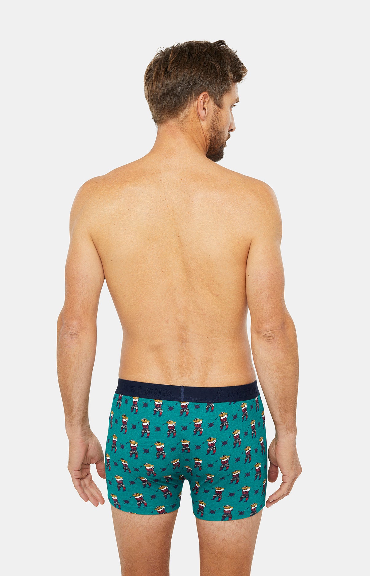 Boxer Homme Ted Wood Vert 4