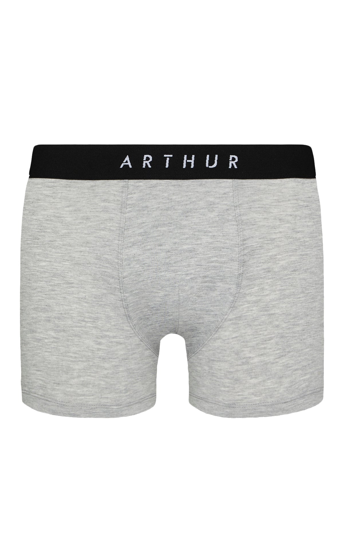 Boxer Homme Tradi Gris 2