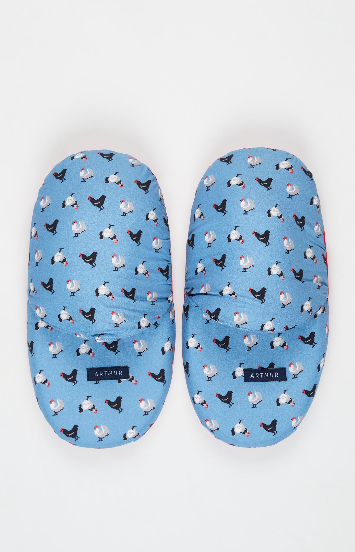 Pantoufles Homme Poule Bleu 2