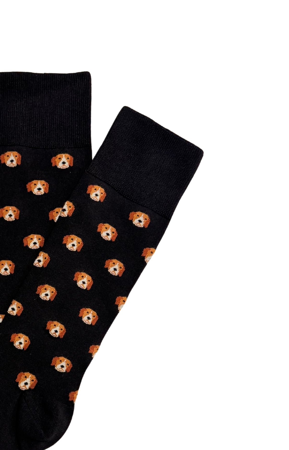 Chaussettes coton Nestor Beagle homme 2