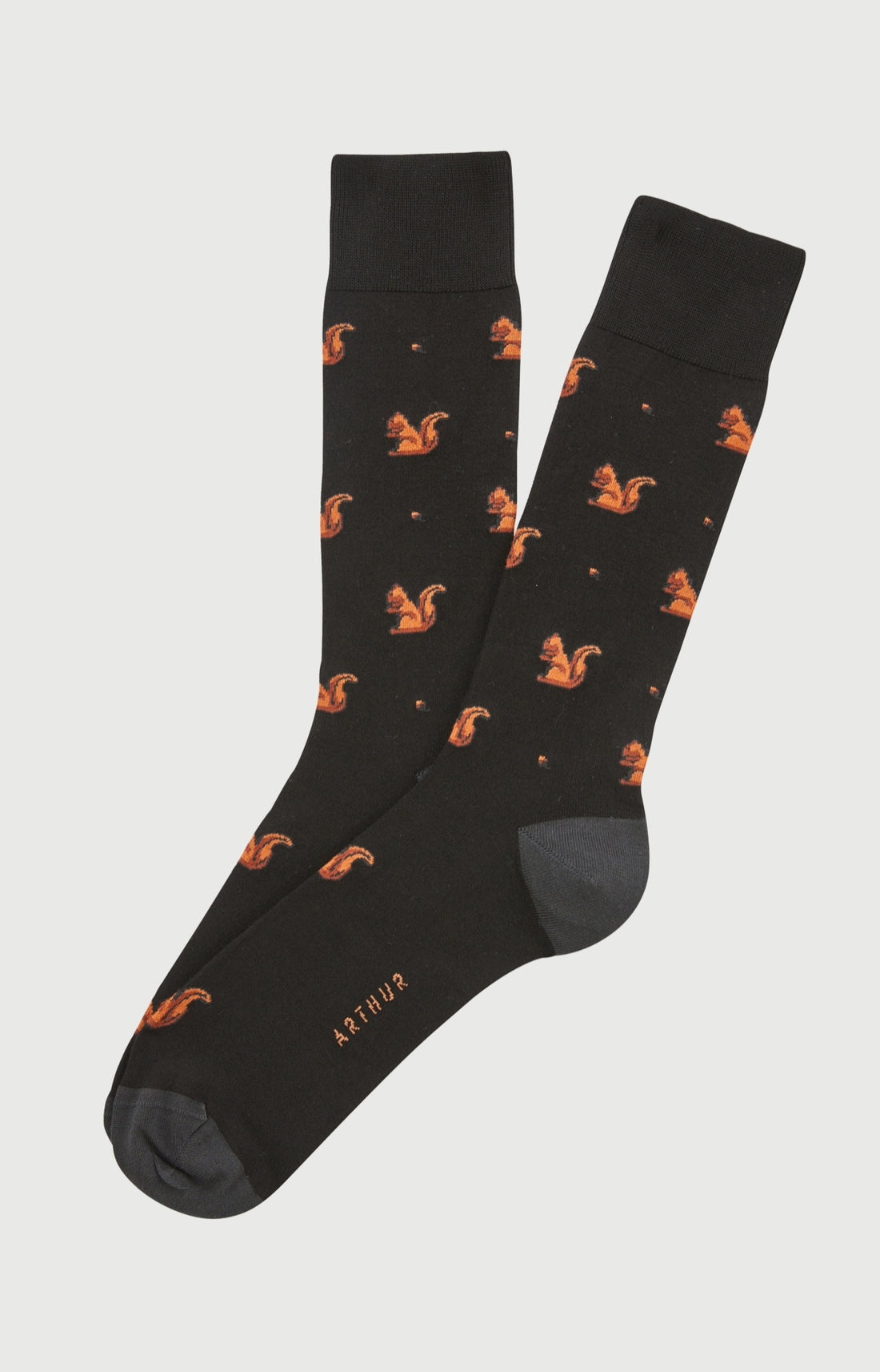 Chaussettes coton écureuil homme 1
