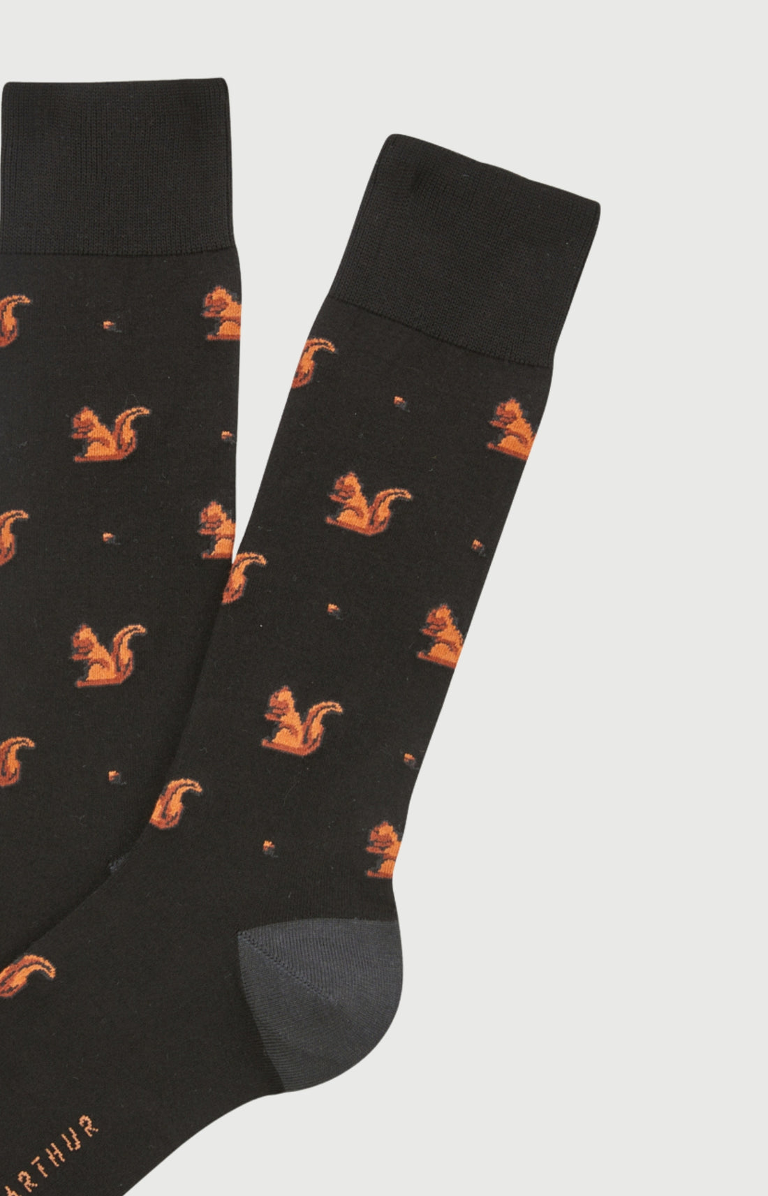 Chaussettes coton écureuil homme 2