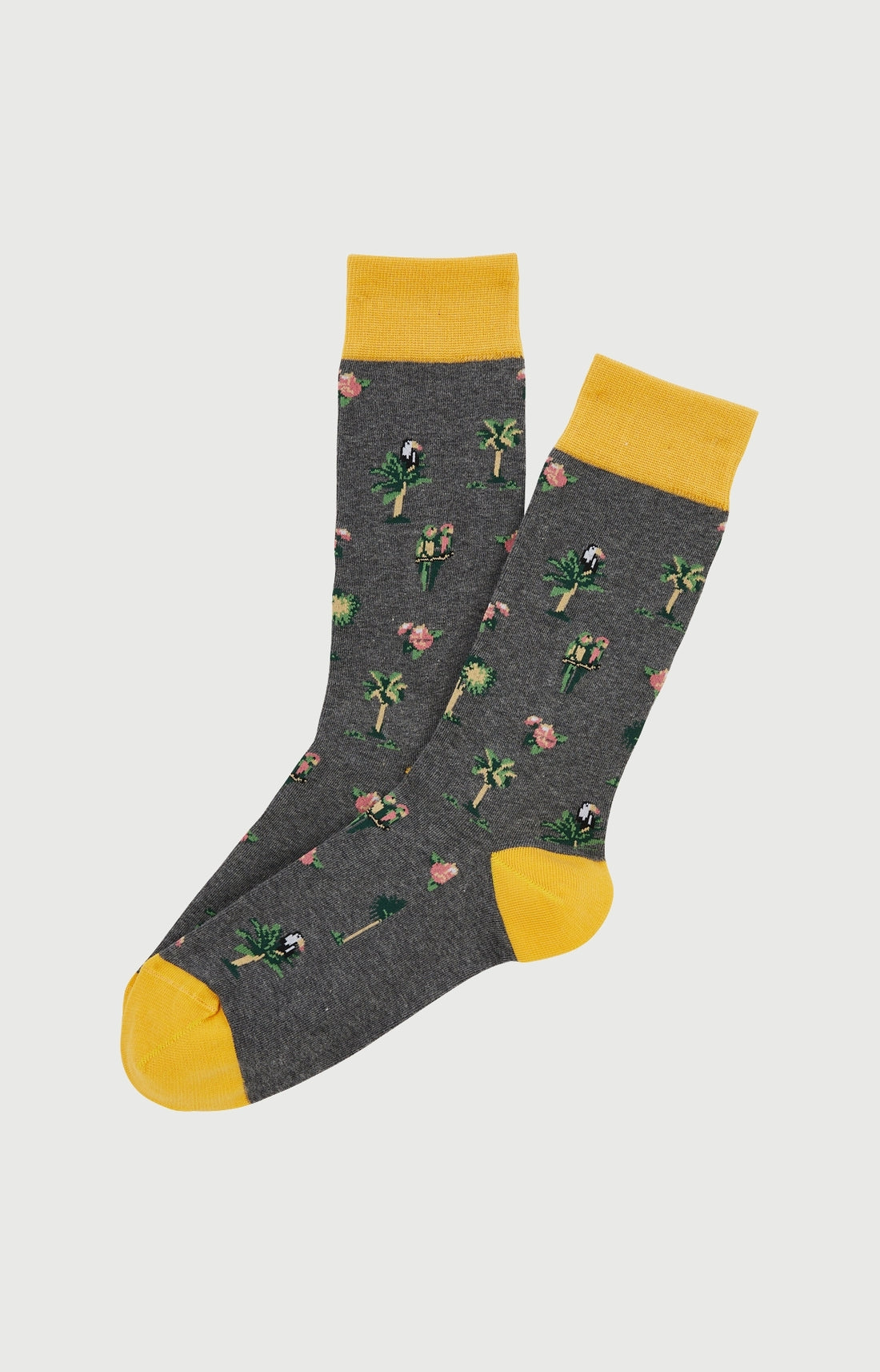 Chaussettes - Perroquet Gris