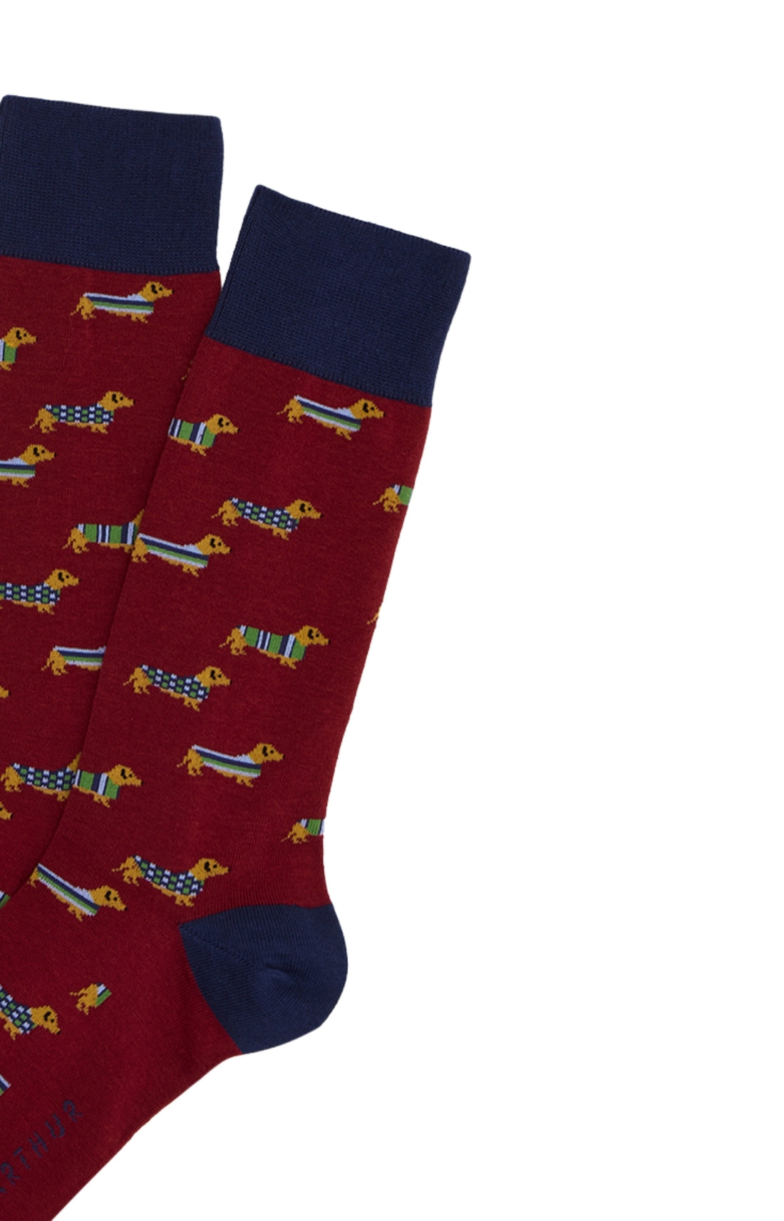Chaussettes Homme Teckel Bordeaux BORDEAUX 2