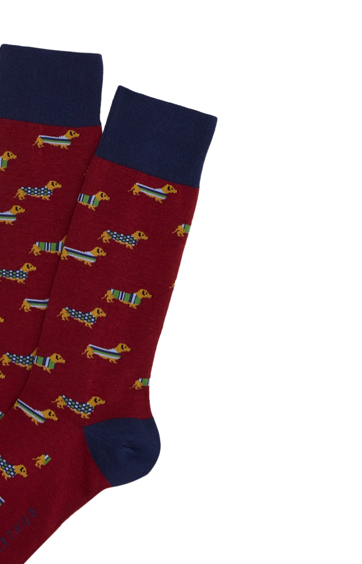 Chaussettes Homme Teckel Bordeaux BORDEAUX 2