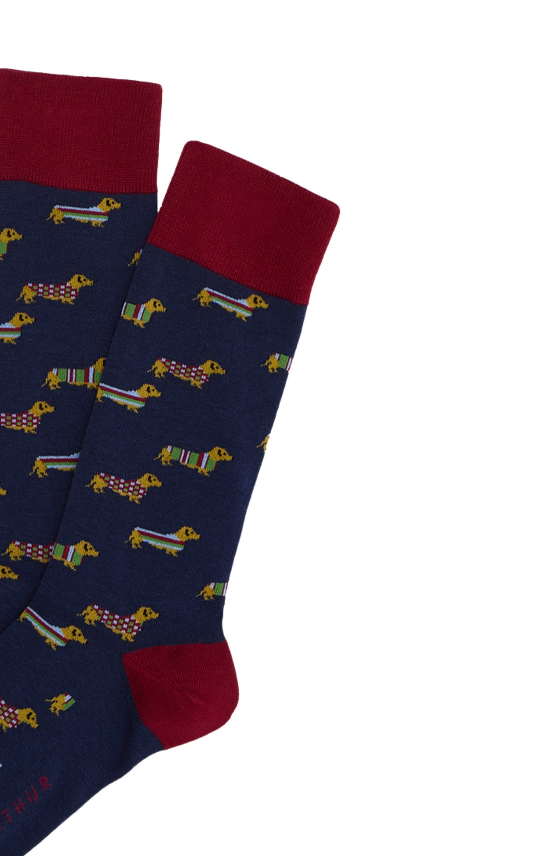 Chaussettes Homme Teckel Marine MARINE 2