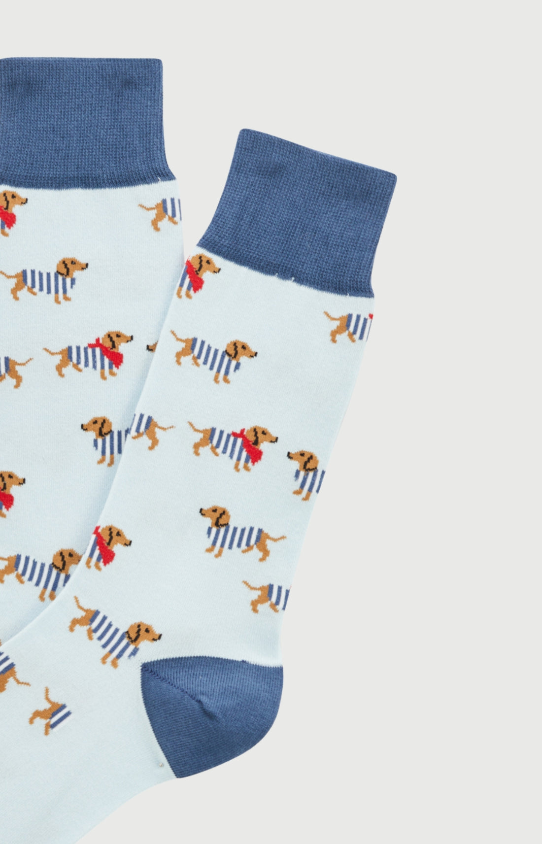 Chaussettes coton tobbie bleu homme 2