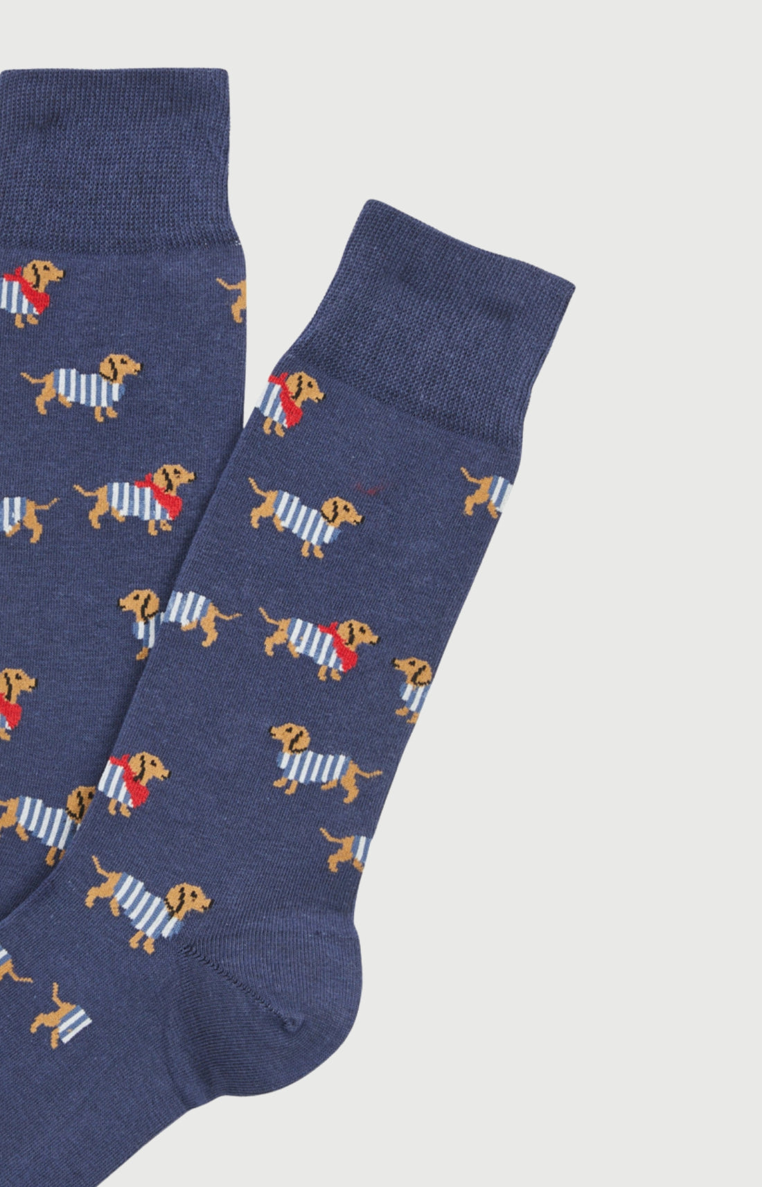 Chaussettes coton tobbie marine homme 2