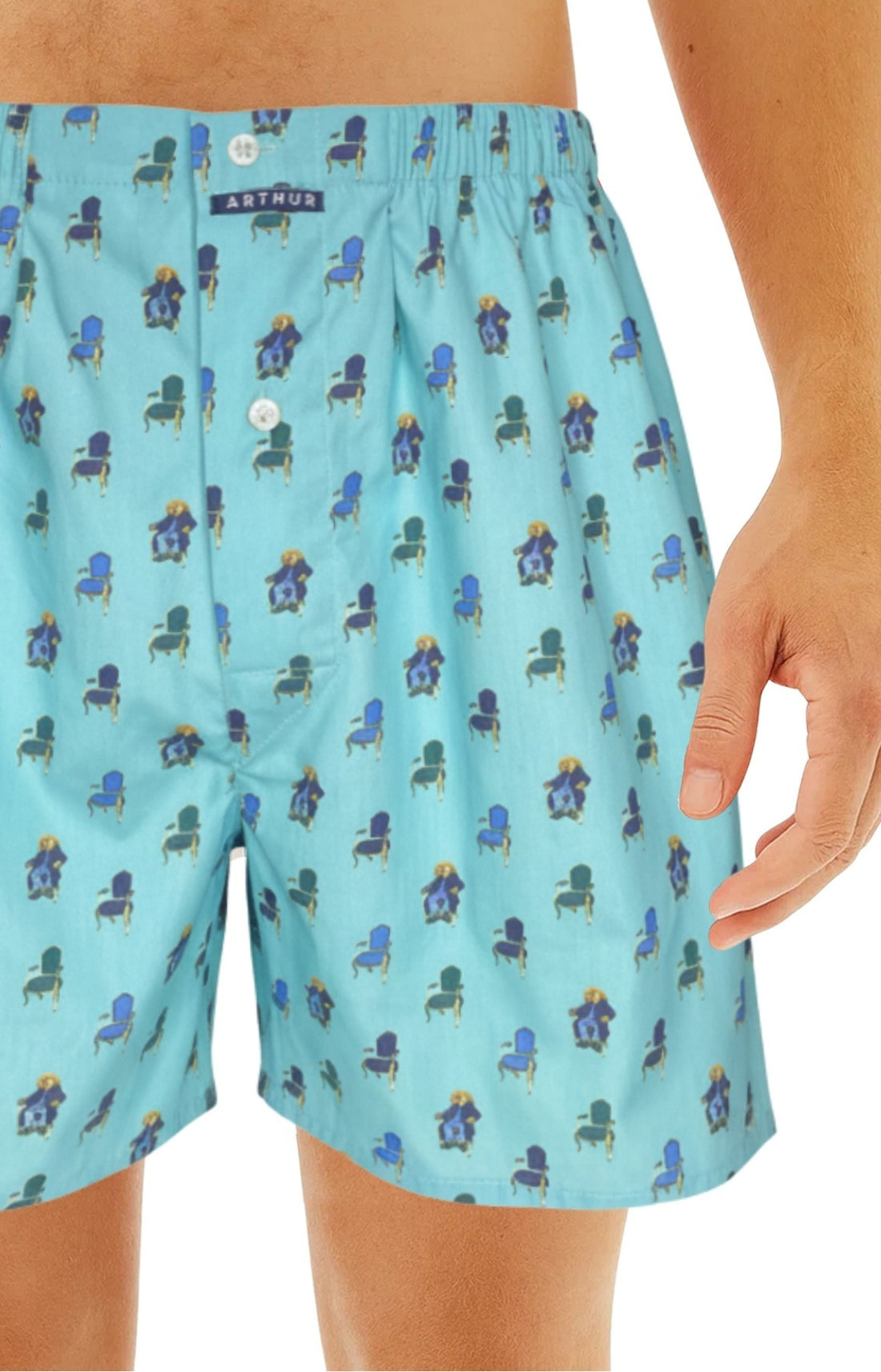 Caleçon classique homme Chien Fauteuil bleu 1