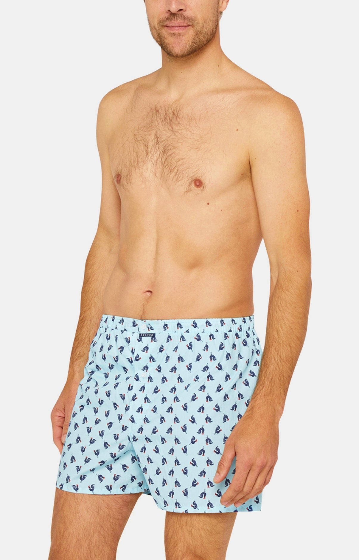 Classic boxer shorts - Rooster