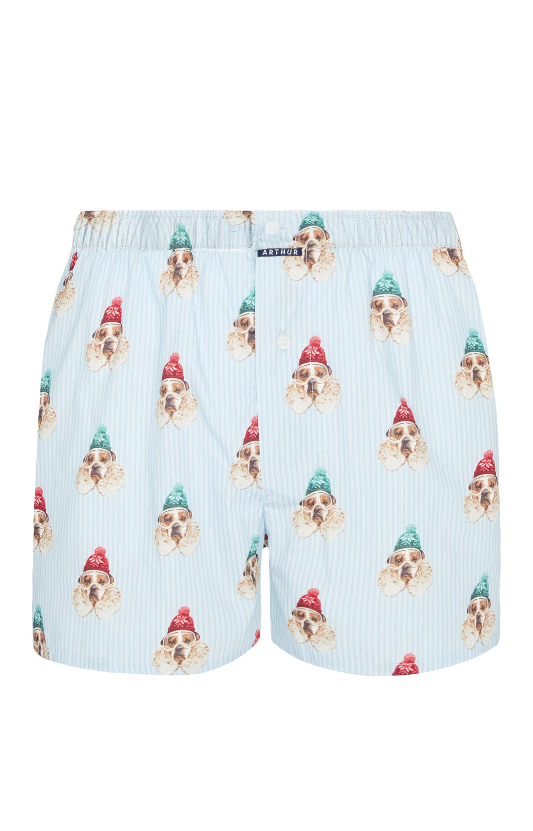 Caleçon classique Homme Chien des Montagnes Bleu 3